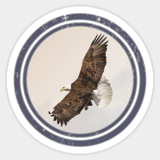 Majestic Eagle Sticker